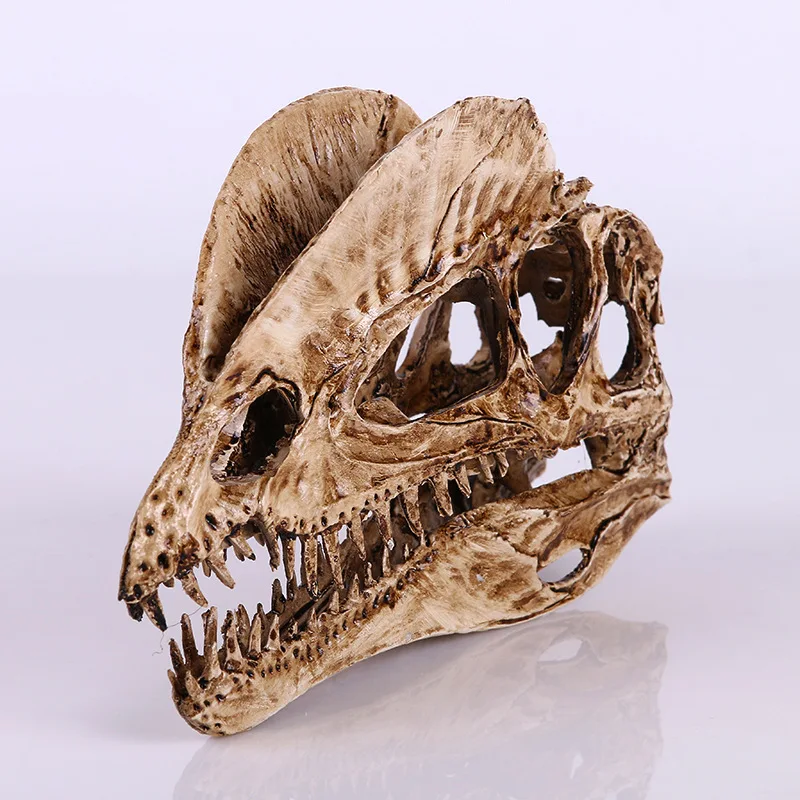 Dinosaur And Craft - [MGT]Resin Craft Decoration Dinosaur Skull Statues