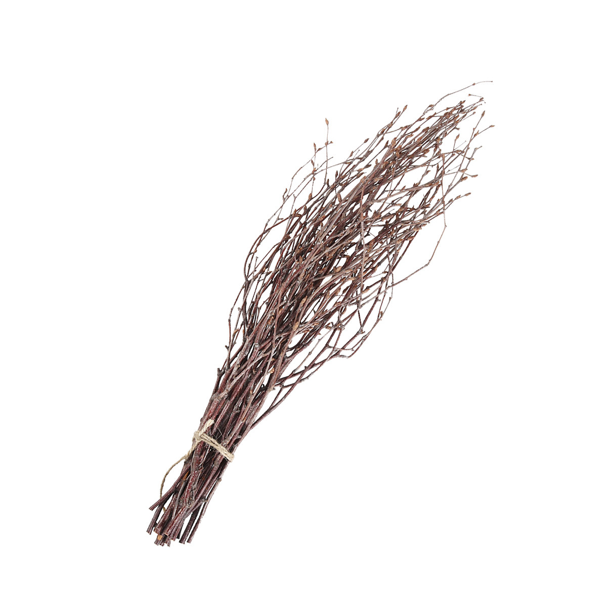 Art Craft Stick - 10Pcs Birch Branches Natural Dry Branch