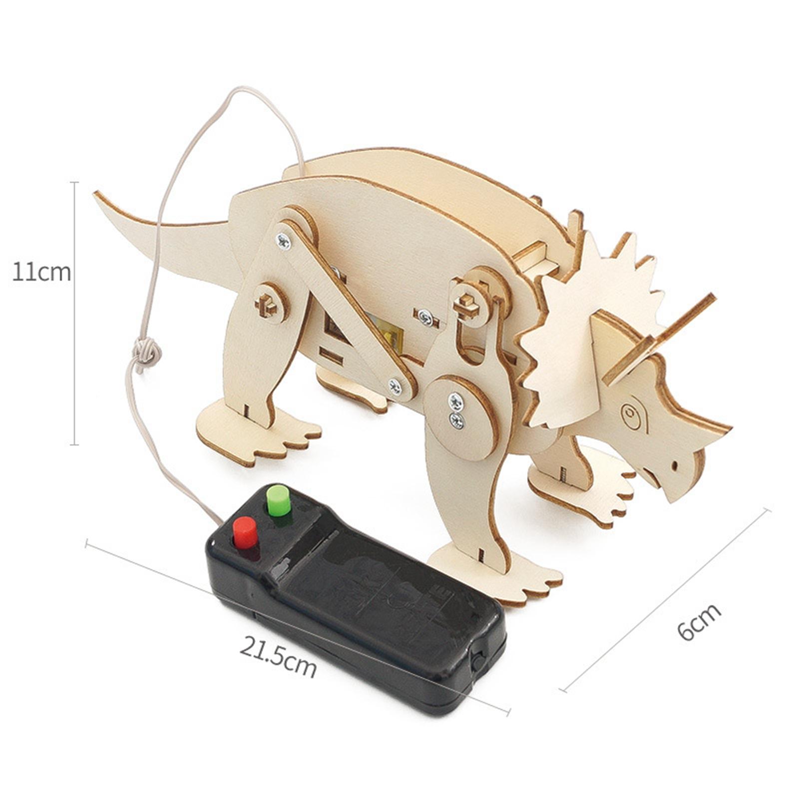 Dinosaur And Craft - Science Experiment Set Dinosaur Model Building