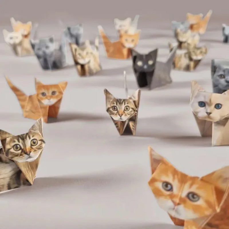 Creative DIY Paper Cats 50 She - огляд і ціна Dinosaur And Craft