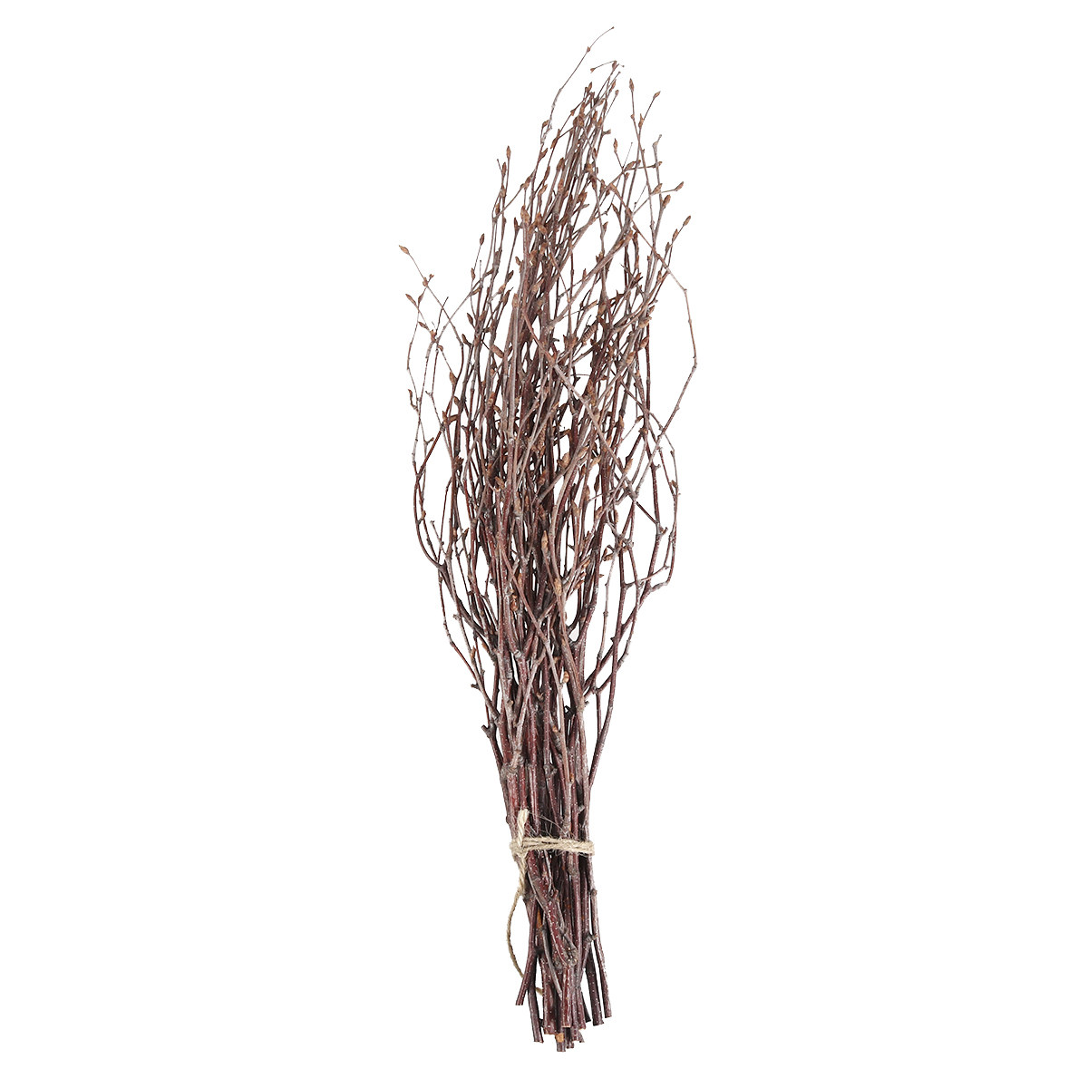 10Pcs Birch Branches Natural D - огляд і ціна Art Craft Stick